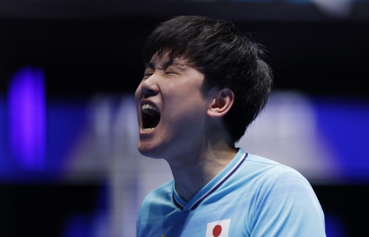 比利时VS法国直播_比利时VS法国免费直播在线直播_比利时VS法国直播高清免费观看