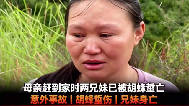 今天巴塞罗那直播,巴塞罗那免费直播在线直播,巴塞罗那直播高清免费观看